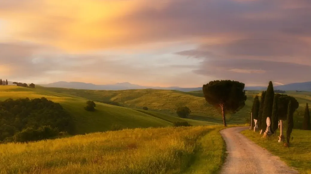 Campagna con prati e una strada bianca al tramonto