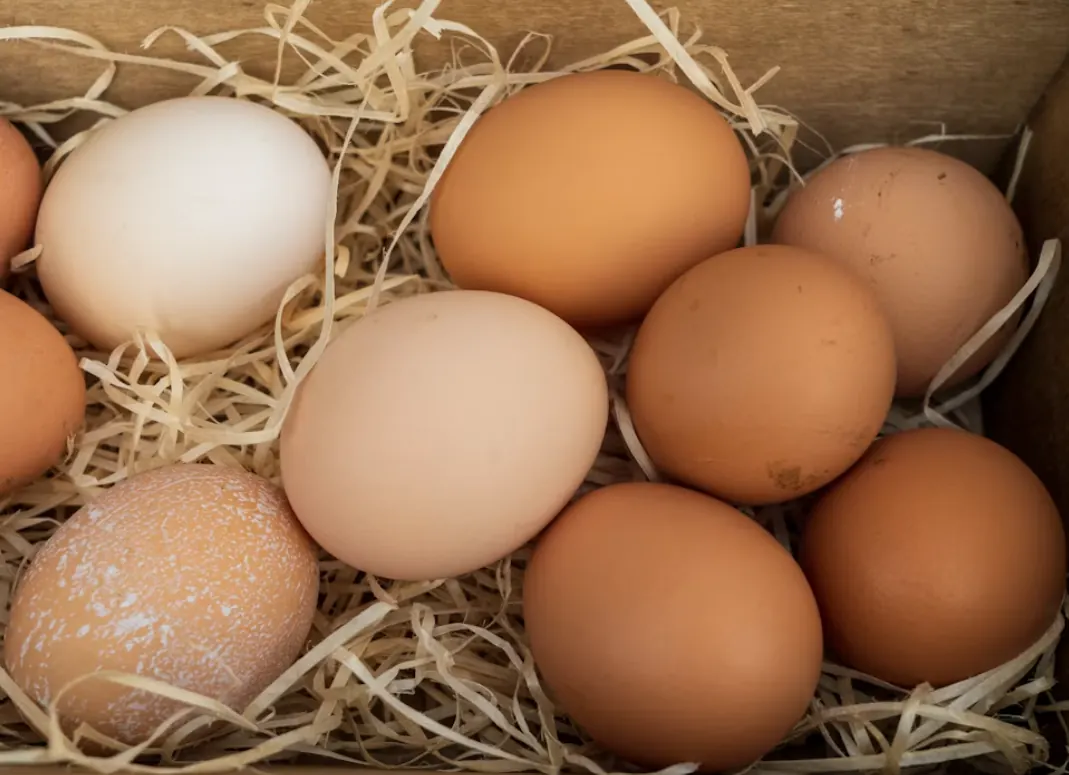 Uova fresche in una cassetta di paglia